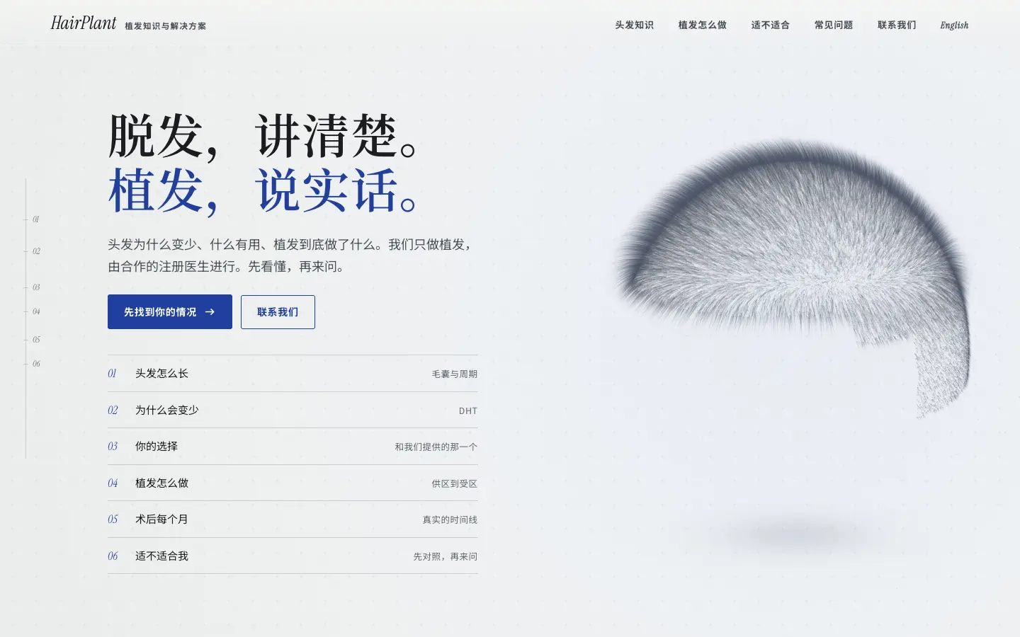 HairPlant homepage on desktop