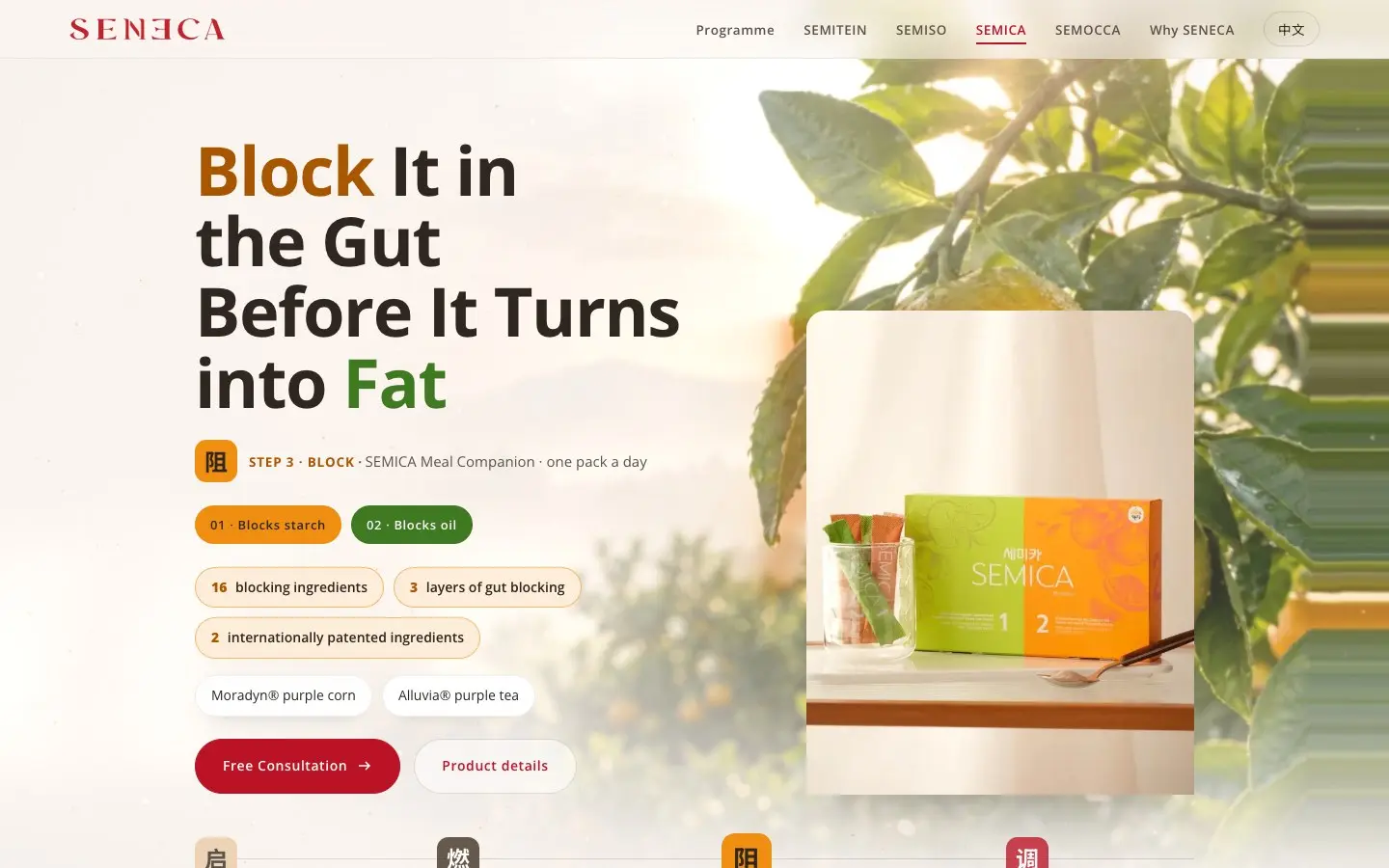 SENECA concept homepage on desktop